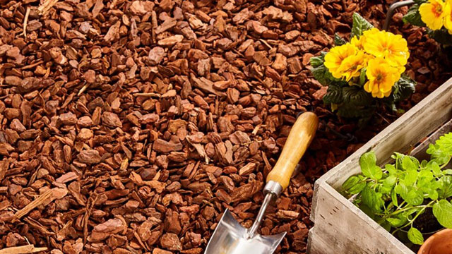 Pinienrinde rindenmulch kaufen