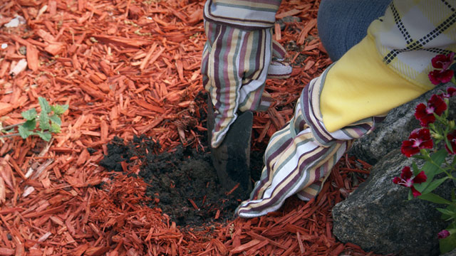 Dekormulch kaufen und liefern lassen