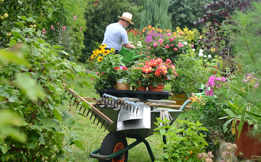 Blumenerde für Blühpflanzen im Garten kaufen